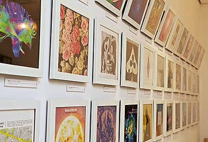 Gallery wall of white vinyl record frames with beautiful contemporary record covers on display in a gallery